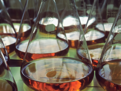 augaliniai interferono induktoriai